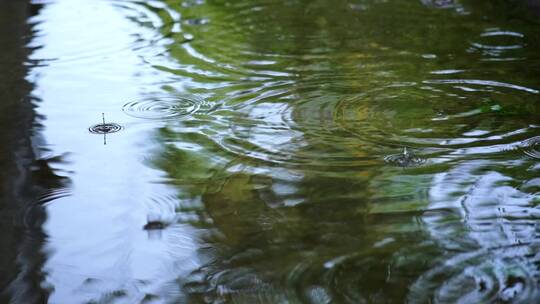 雨落在近距离观察的湖面上