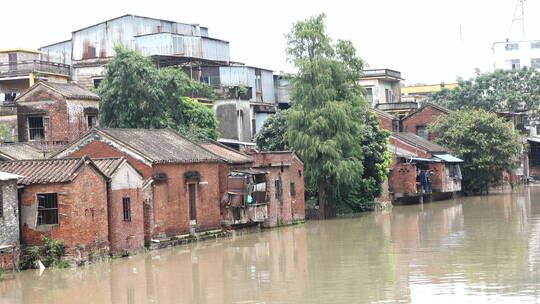 广东佛山水乡旧民居