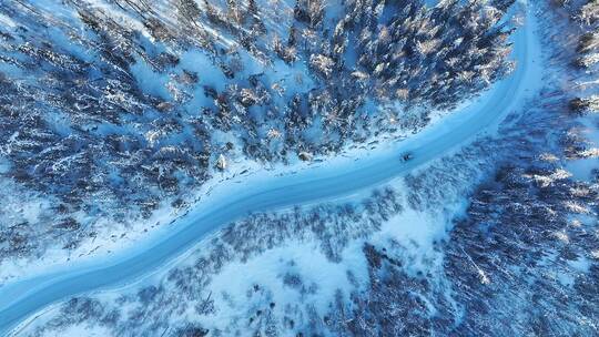 航拍汽车在冰雪森林中行驶6视频素材模板下载