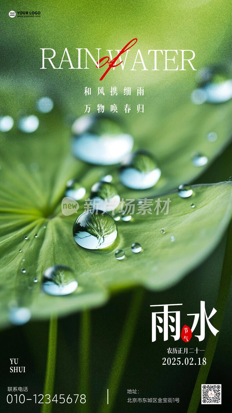 雨水二十四节气简约创意海报