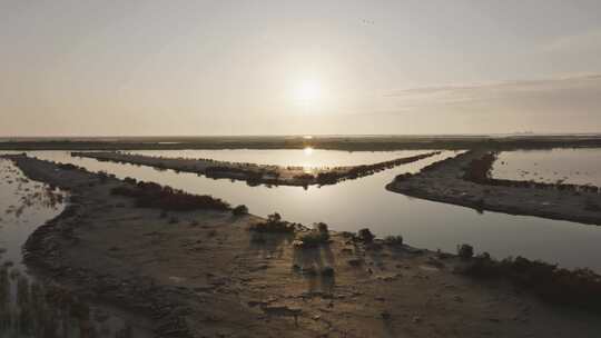 黄河三角洲湿地日出时分