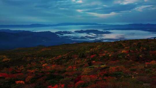 日本风景