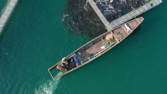 千岛湖淡水鱼网箱生态养殖胖头鱼视频素材模板下载