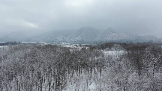 航拍湖北神农架大九湖冬季冰雪风光雪景