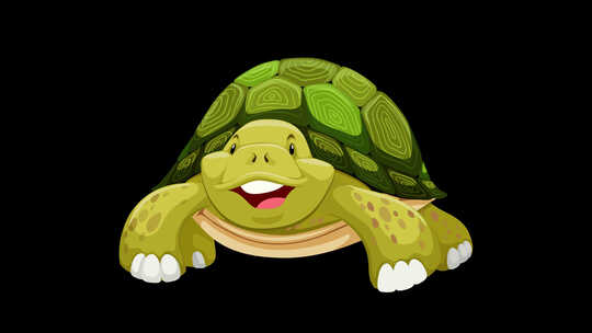 世界海龟日5月23日阿尔法循环4K