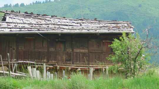 高原村庄田园森林风景