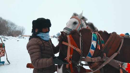 照顾雪橇的人