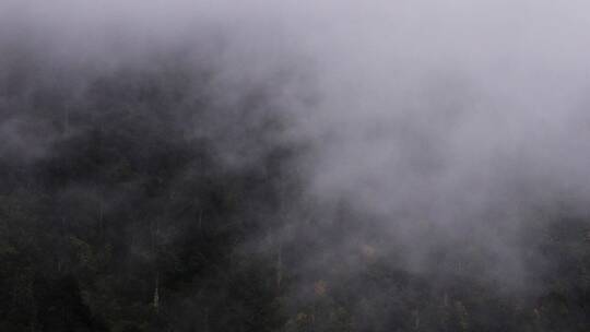 徒步天堂雨崩村自然风光