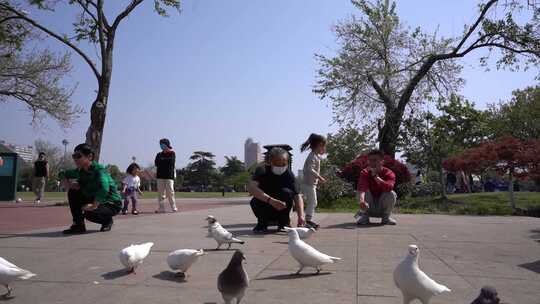 喂鸽子孩子 童年  广场