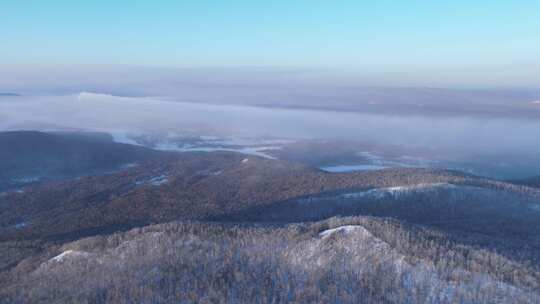 航拍寒冬林海雪原冻雾视频素材模板下载