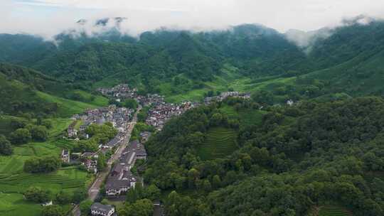 杭州西湖龙井茶园梅家坞清新茶山