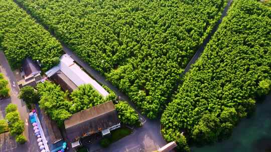 杭州余杭风光双溪漂流景区