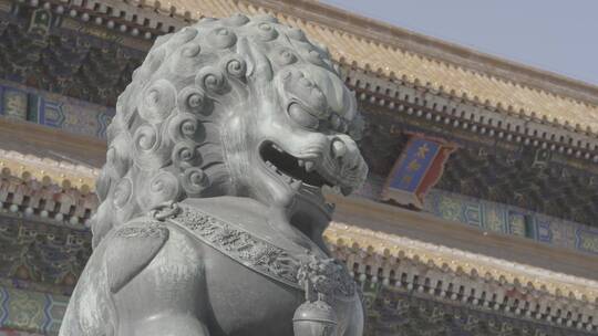 故宫铜狮视频素材模板下载