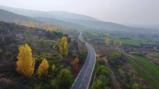 金色秋天旅游公路风景航拍