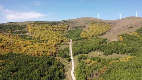 4K航拍秋天草原风景  五彩森林 秋天