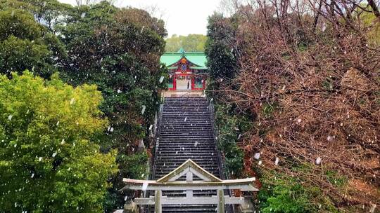 鹅毛大雪飘落在日本神社