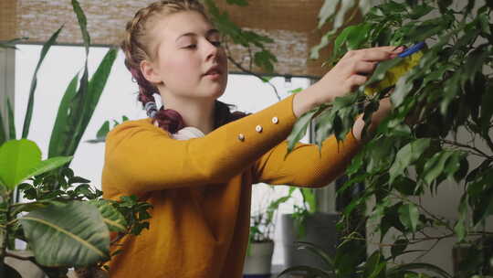 年轻女子照顾室内植物