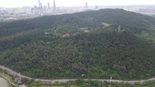 广西南宁青秀山5A景区航拍视频素材模板下载