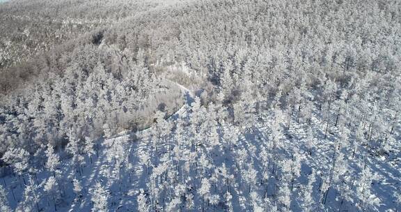 零下40多度的低温航拍大兴安岭冰雪雾凇