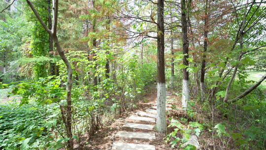 武汉江夏区藏龙岛国家湿地公园