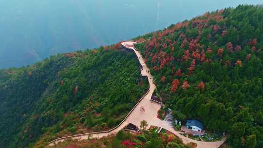 长江三峡巫峡红叶