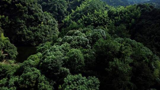 湖南衡阳花果山视频素材模板下载