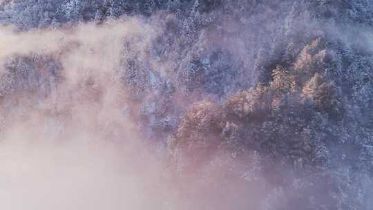 伏牛山云海日出雪景