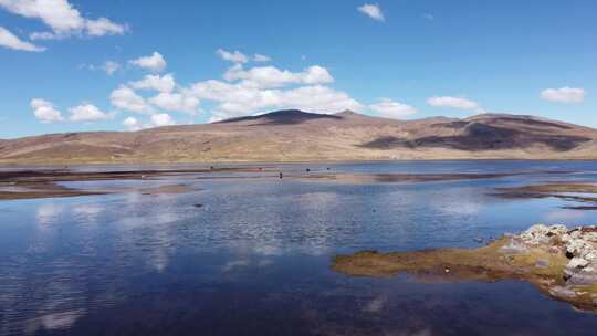 秘鲁的Meadow Huaraz