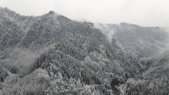 冬天森林雪景