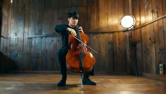男子室内演奏大提琴