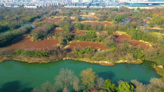 杭州西湖区西溪湿地美景风景视频素材