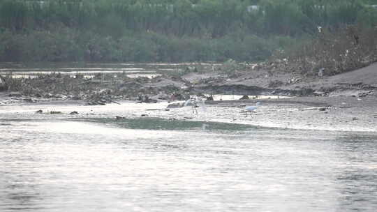 河流 流水 水面 奔流 江河 波涛 波浪翻滚