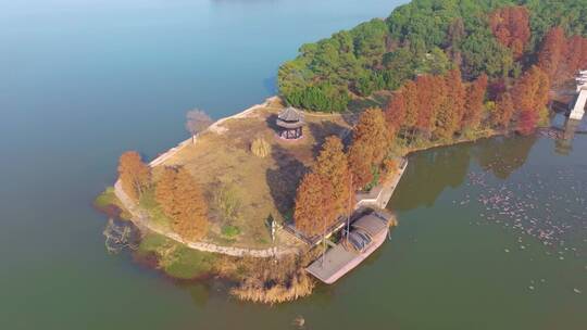 湖北武汉东湖风景区秋季风光