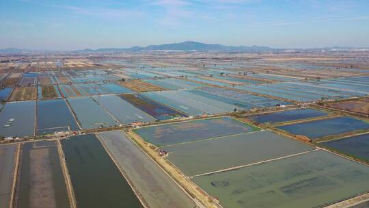 安徽省马鞍山市丹阳湖农场航拍