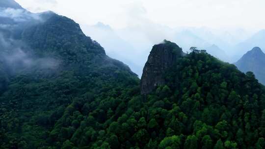 云雾缭绕的山林全景