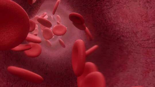 血液细胞在血管中流动视频素材模板下载