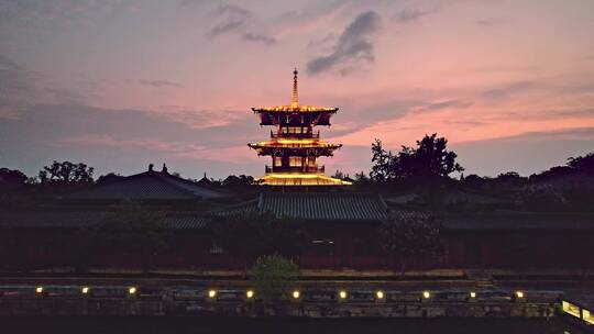 航拍广富林文化遗址古陶艺术馆高塔建筑夜景