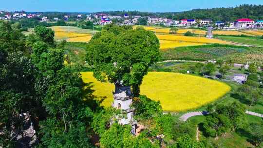 4k长沙望城惜字塔秋景