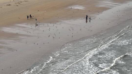 航拍俯瞰威海金海滩海水浴场沙滩游人与海鸥