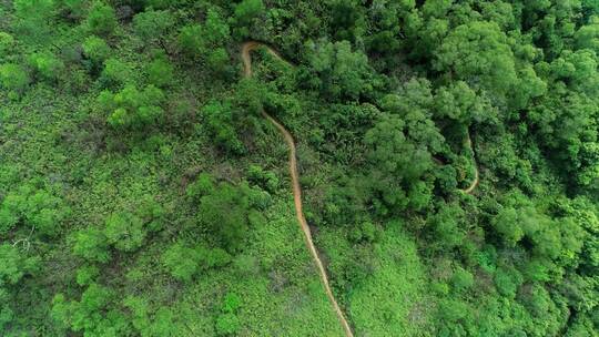 航拍森林公园山地车道4k视频素材模板下载