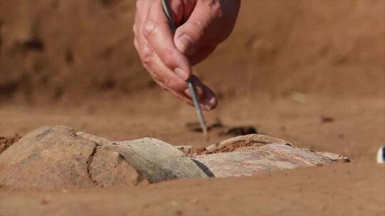 考古现场-考古人员挖掘清理文物