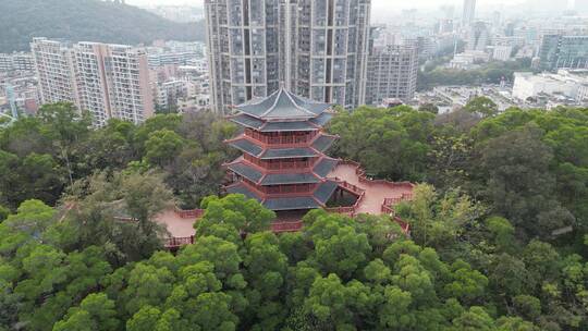 佛山顺德大良凤鸣公园全景视频素材模板下载