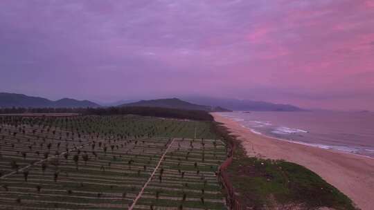 海南陵水治海湾网红打卡点