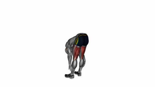 人体站立弓腿筋拉伸健身锻炼3D演示视频素材模板下载