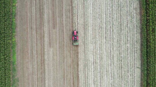 航拍俯拍农村田地成熟玉米地
