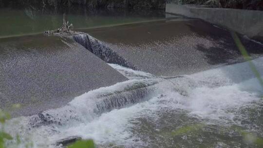 河流小溪青草泉水河边河水溪流水坝视频素材模板下载