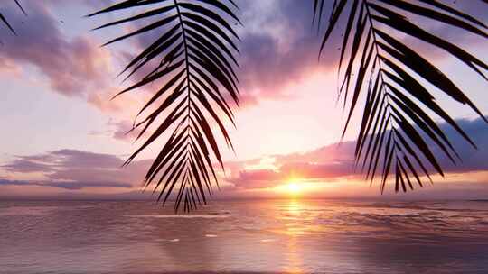 海滩日落棕榈树椰子树海边旅行渡假