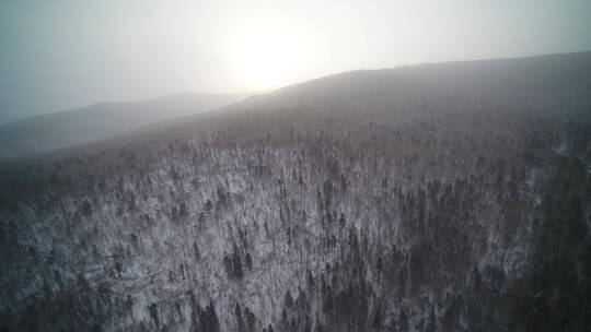 航拍东北山区冬天森林