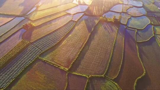 中国苏米梯田上的稻田。鸟瞰图