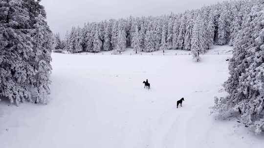 重庆武隆仙女山雪景